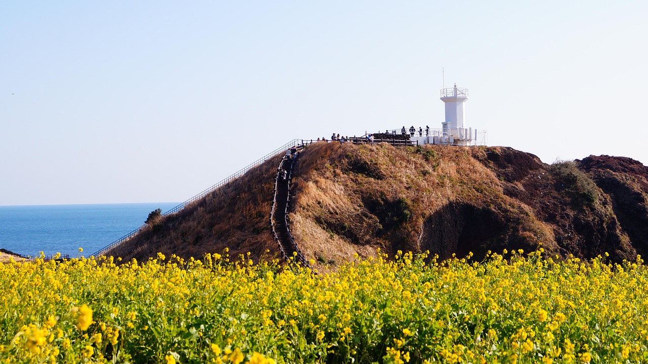 lighthouse, jeju island, flower garden, jeju island, jeju island, jeju island, jeju island, jeju island